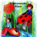 darmowe audiobooki: Darmowa bajka uzdrawiajka - Biedroneczka Klara - audiobook
